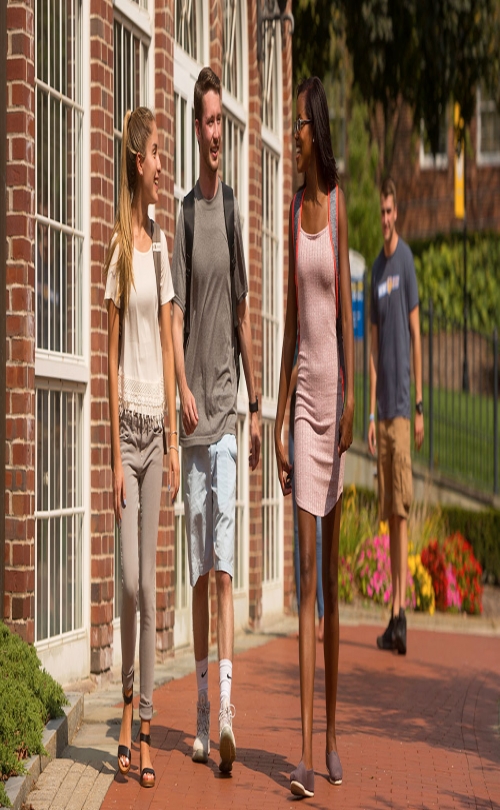 Shorelight Group - Western New England University